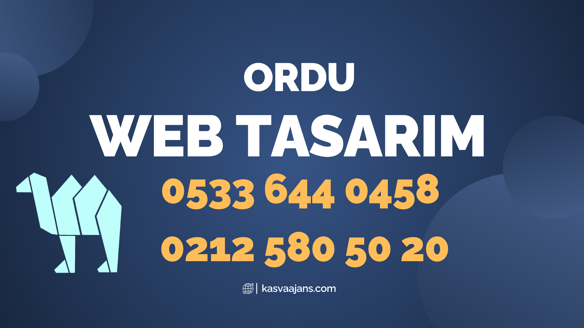 Ordu Web Tasarım