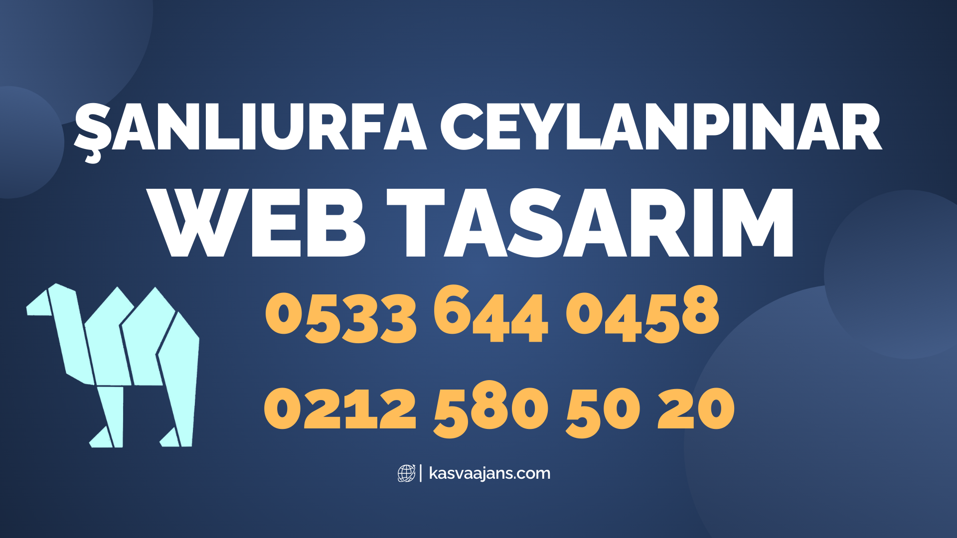 Şanlıurfa Ceylanpınar Web Tasarım