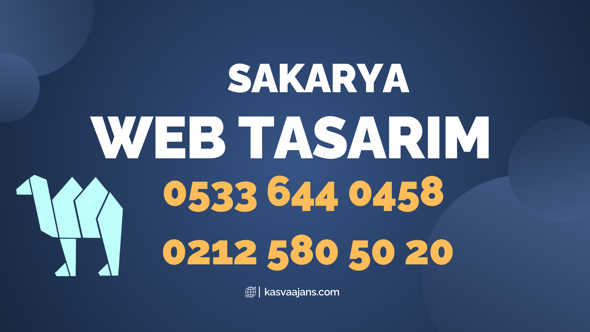 Sakarya Web Tasarım