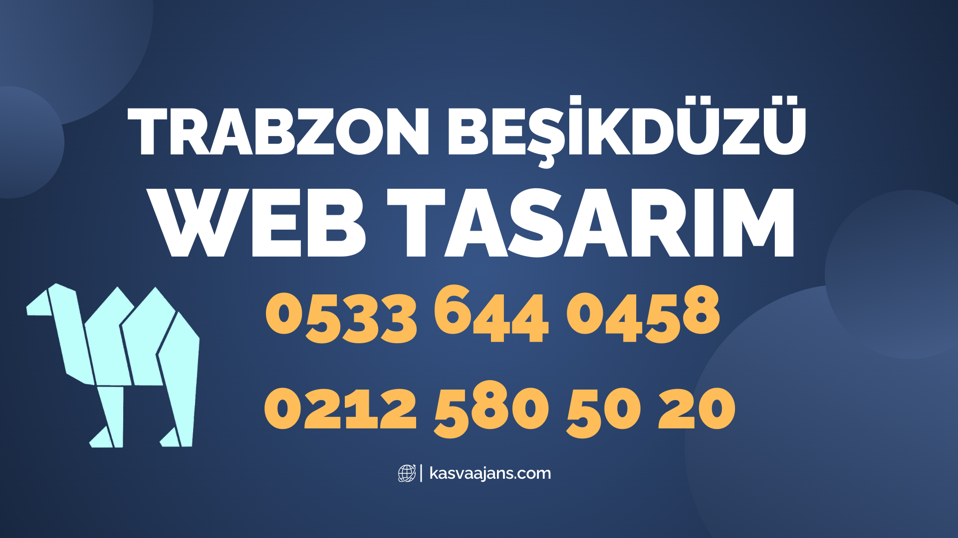 Trabzon Beşikdüzü Web Tasarım