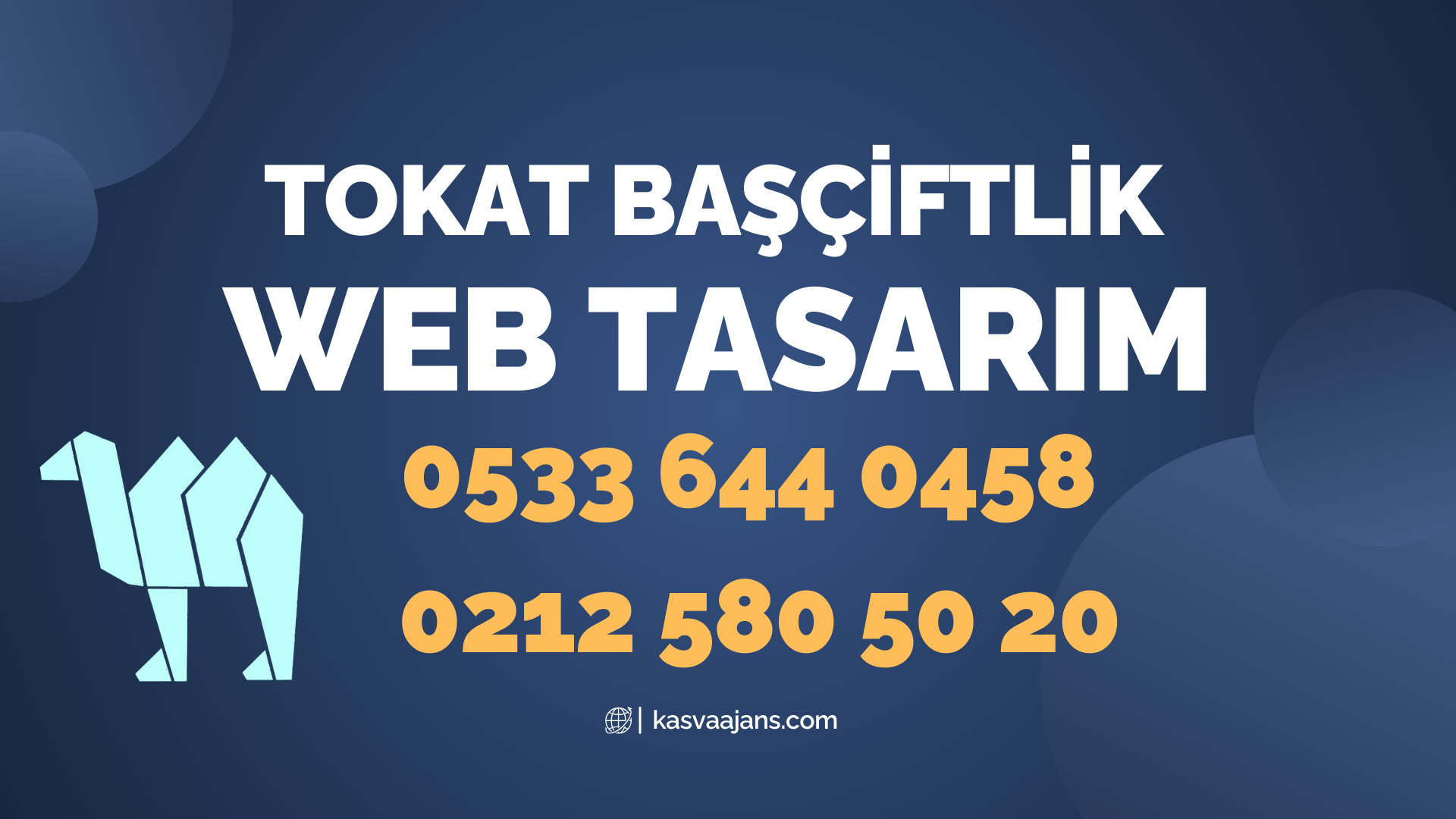 Tokat Başçiftlik Web Tasarım