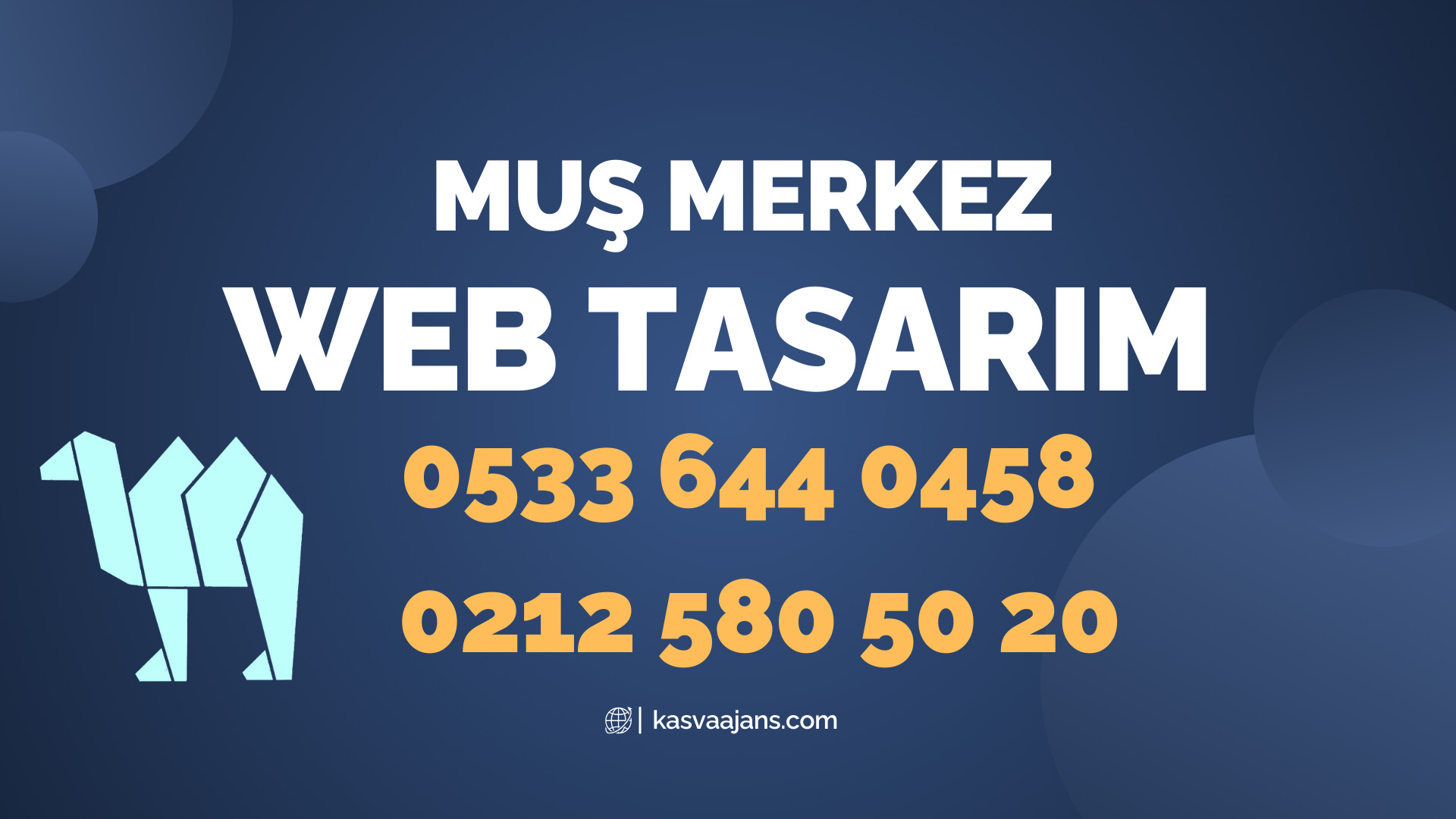 Muş Merkez Web Tasarım 