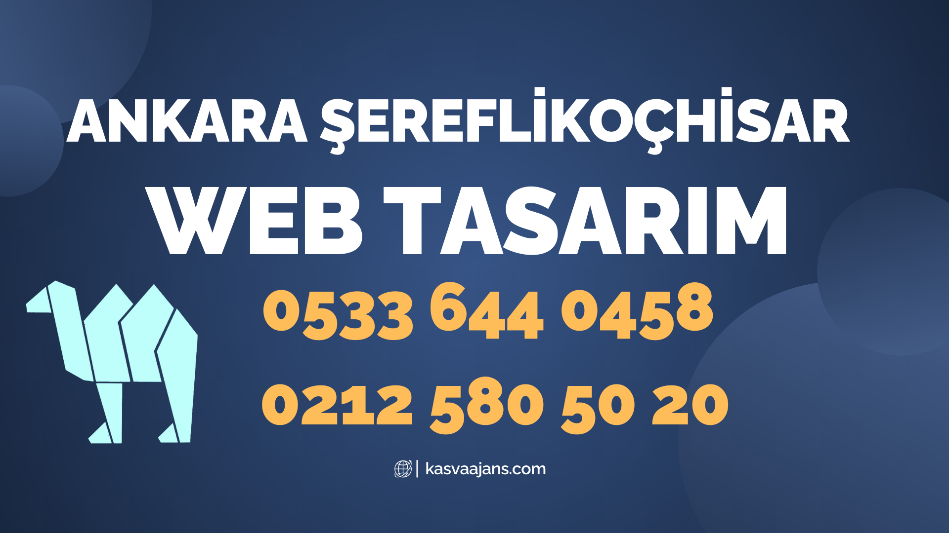 Ankara Şereflikoçhisar Web Tasarım 