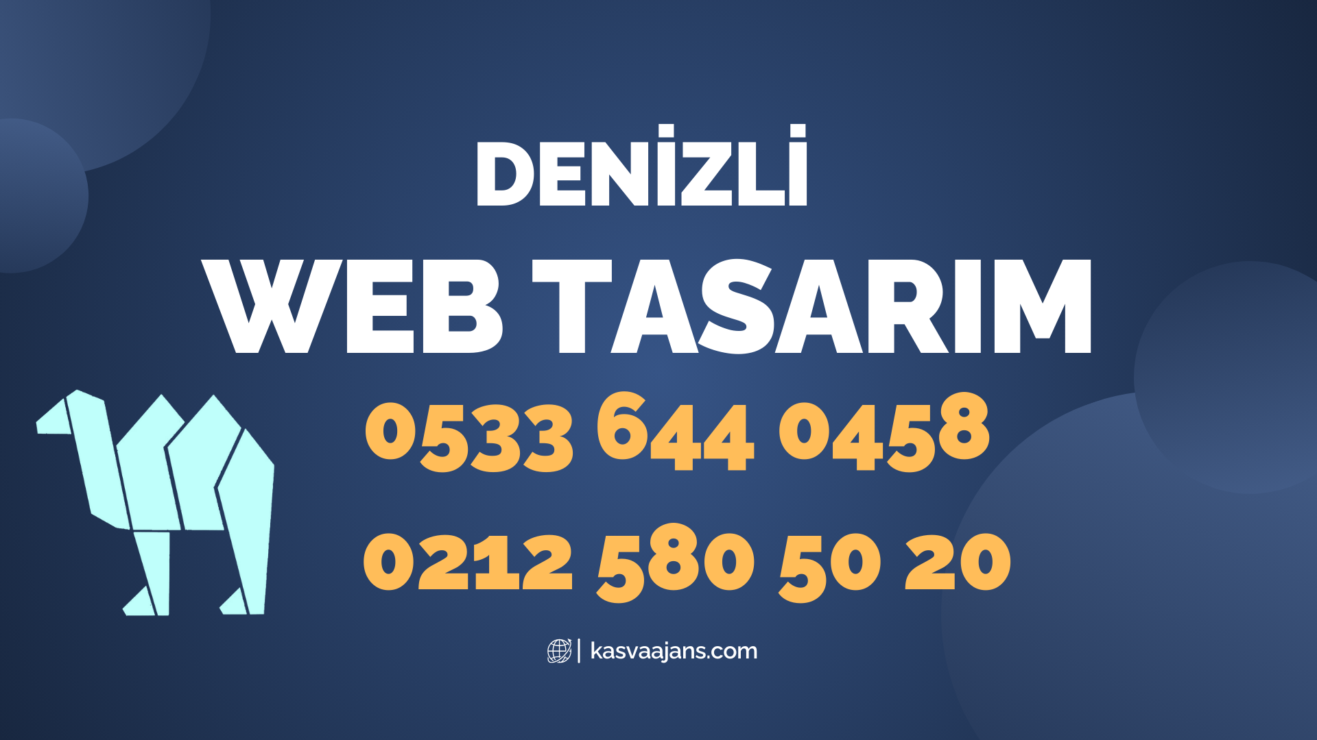 Denizli Web Tasarım