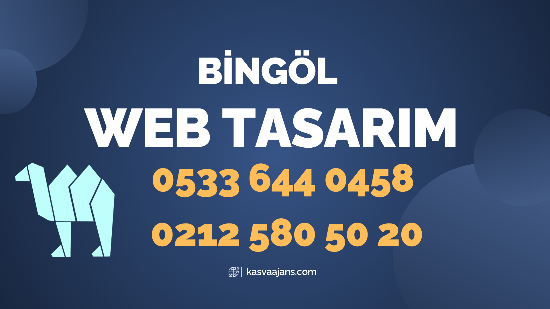 Bingöl Web Tasarım