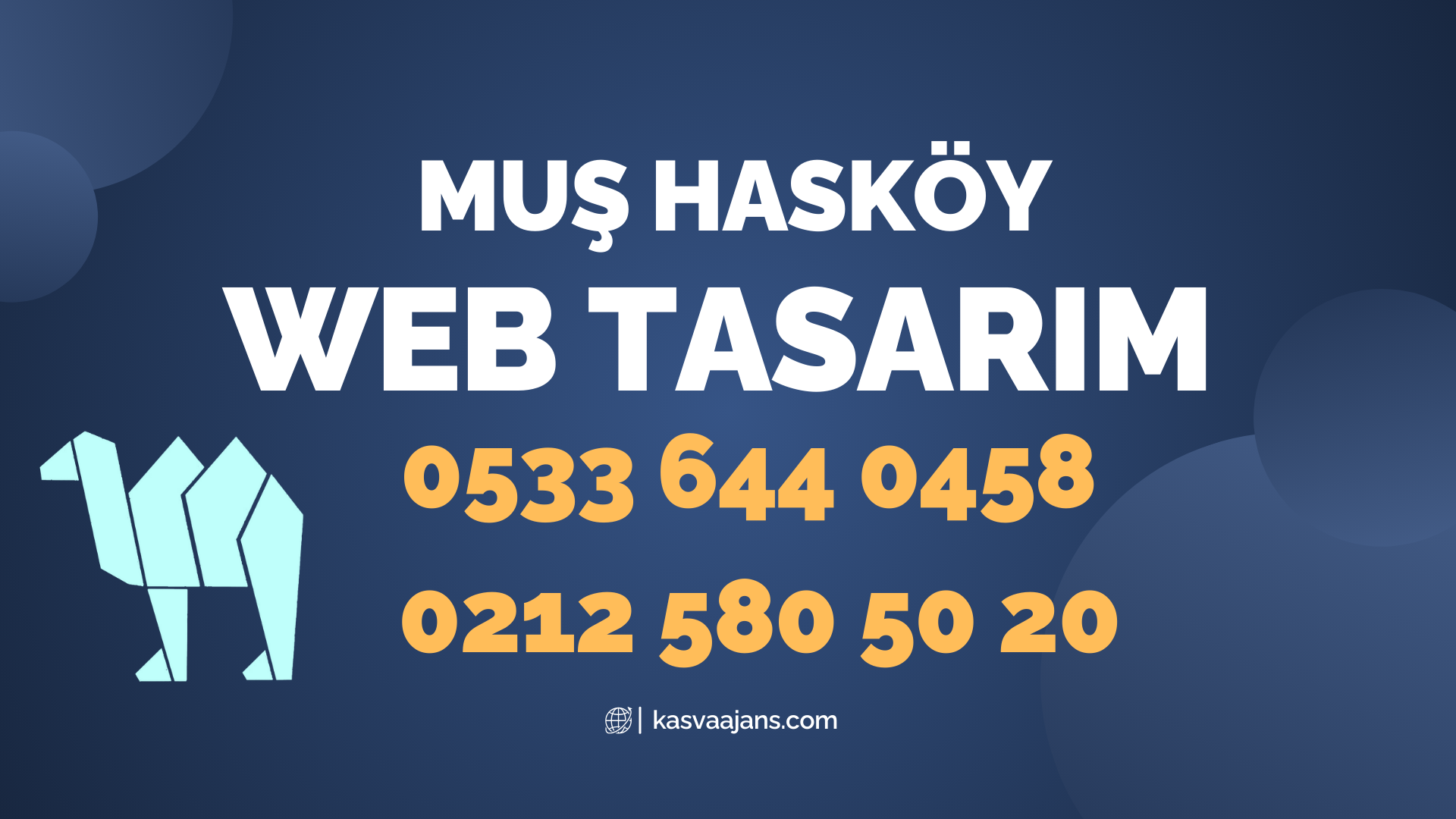 Muş Hasköy Web Tasarım