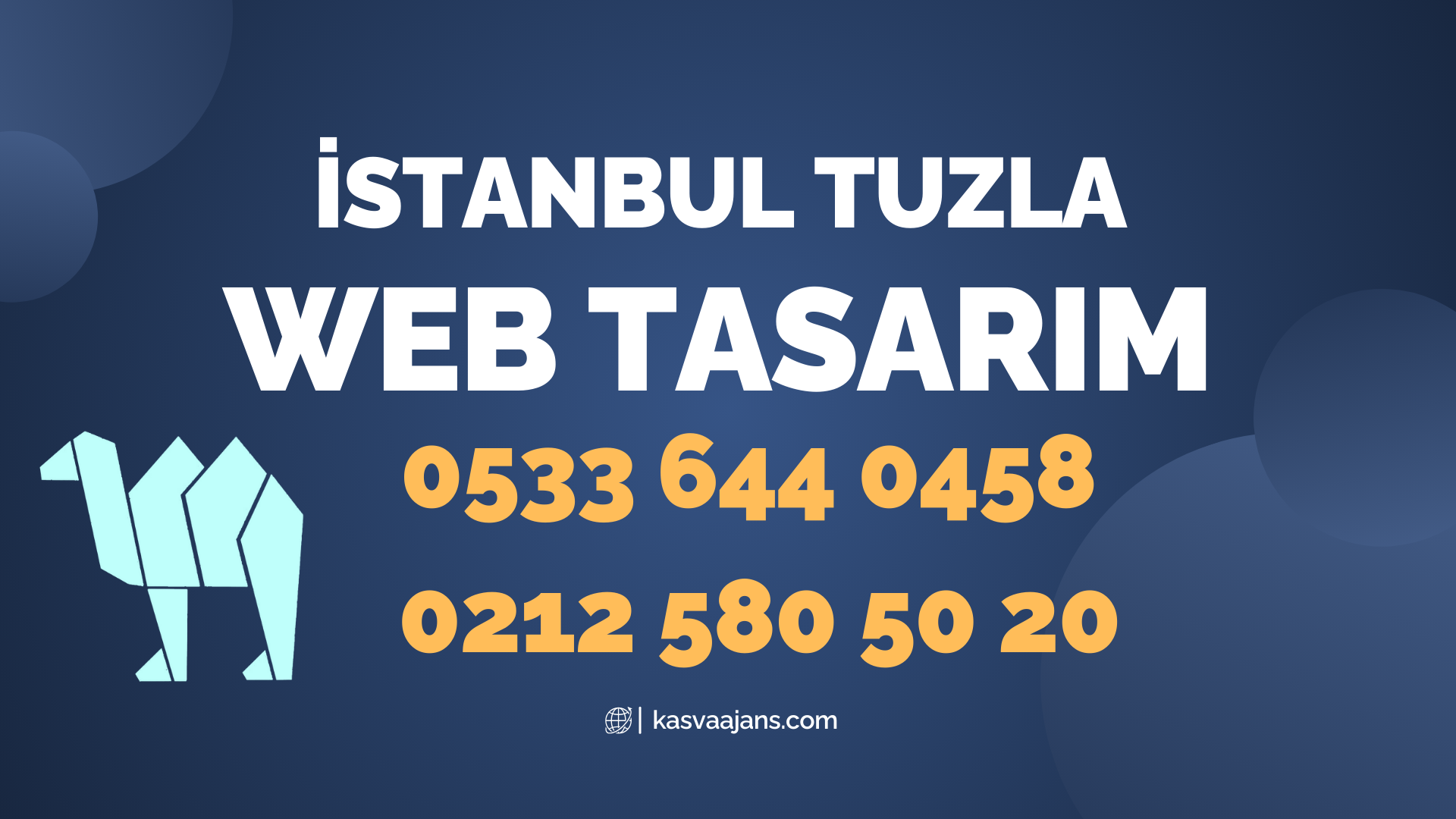 İstanbul Tuzla Web Tasarım 