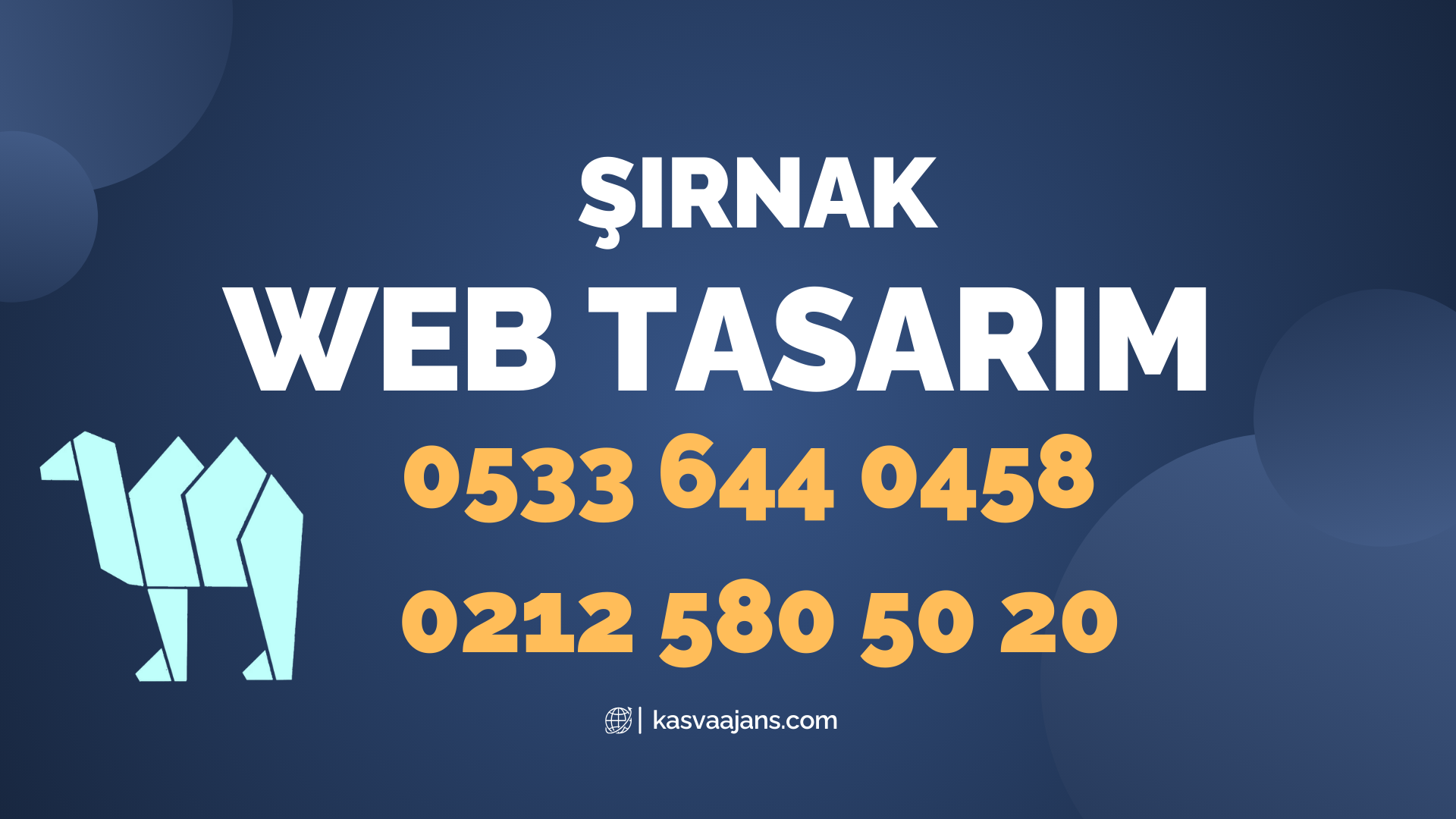 Şırnak Web Tasarım