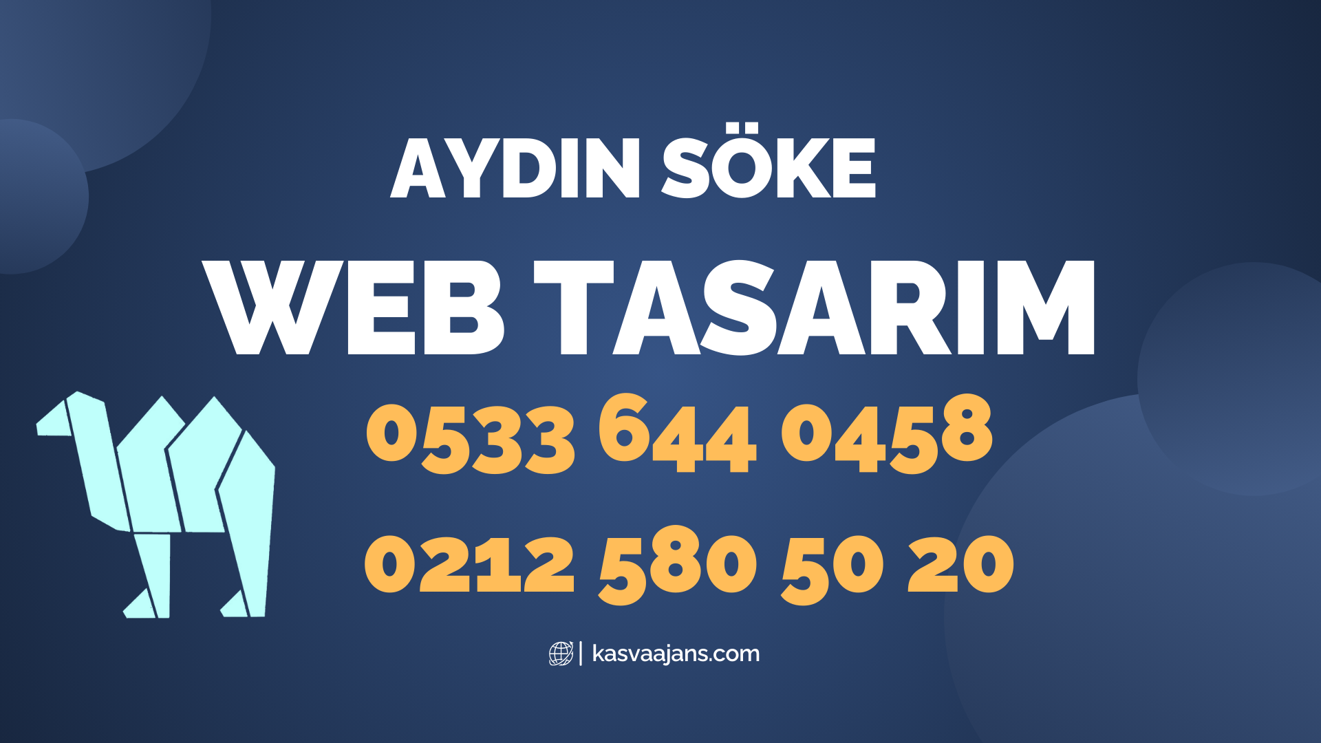 Aydın Söke Web Tasarım