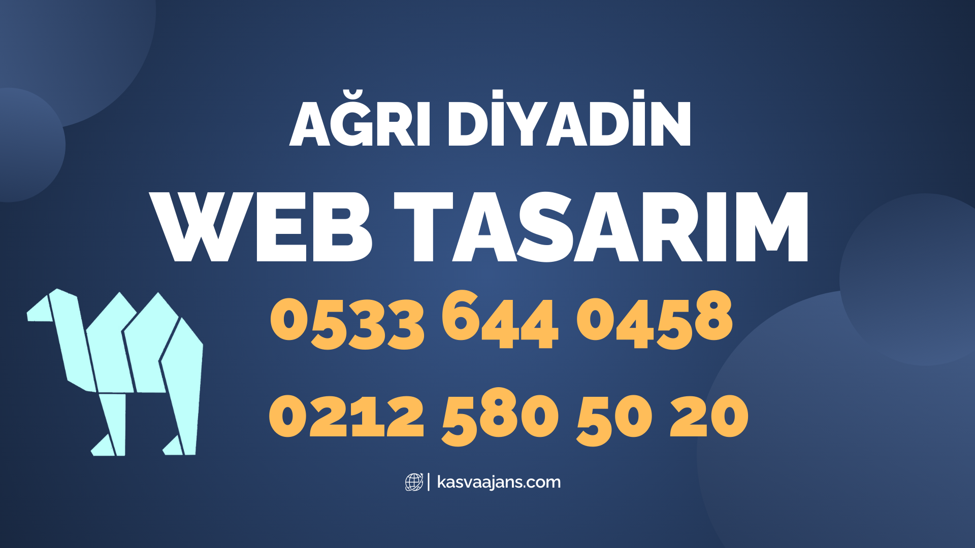 Ağrı Diyadin Web Tasarım