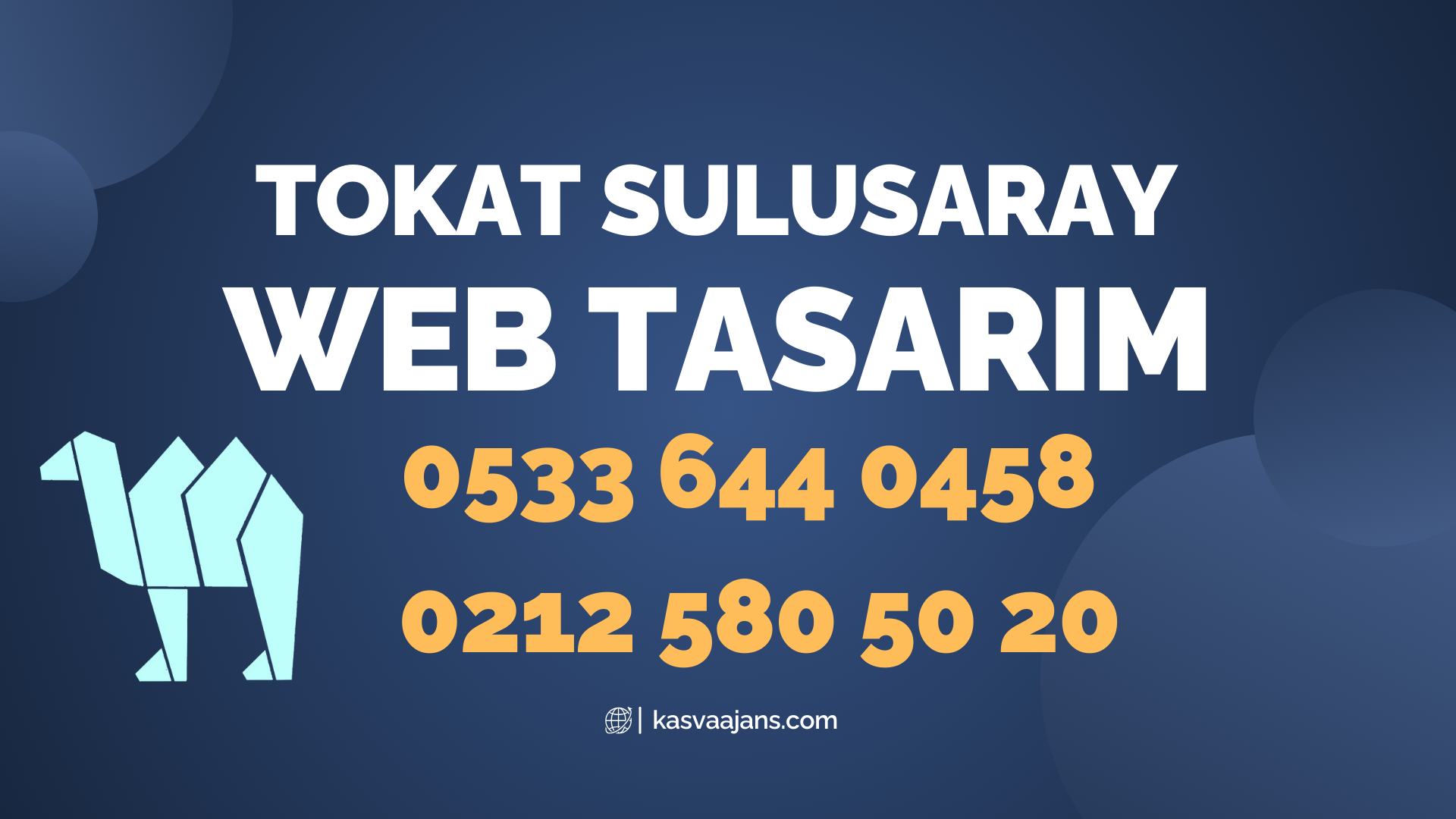 Tokat Sulusaray Web Tasarım