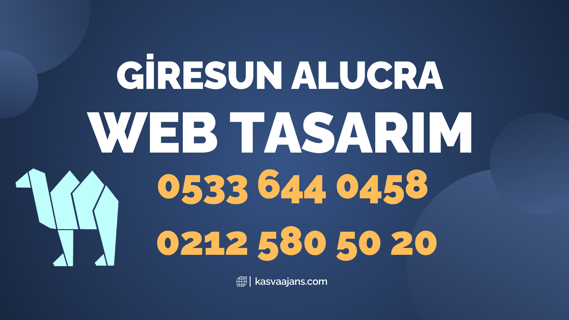 Giresun Alucra Web Tasarım