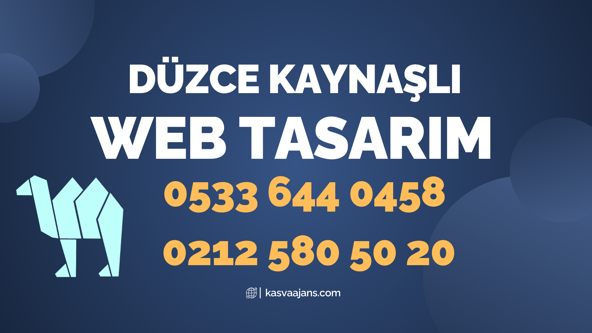 Düzce Kaynaşlı Web Tasarım