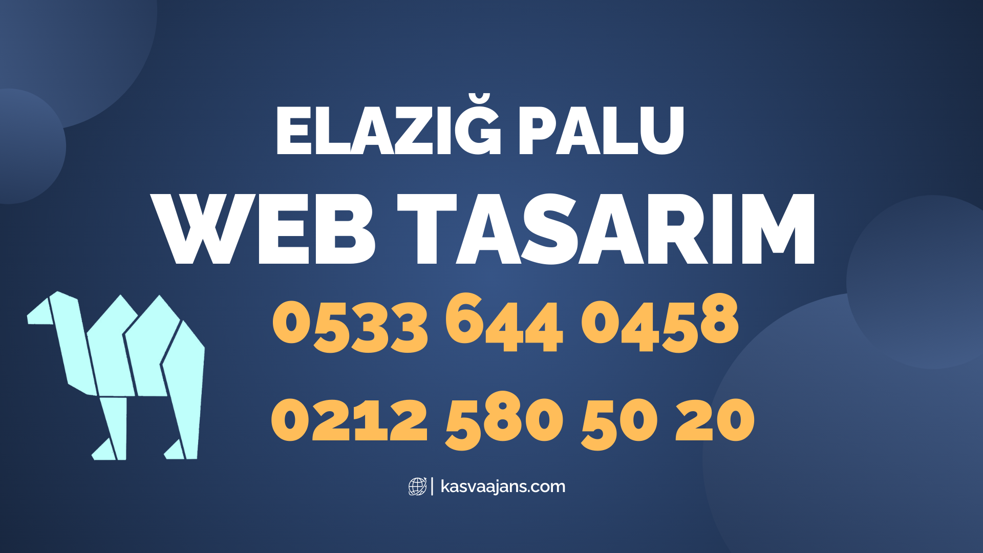 Elazığ Palu Web Tasarım 